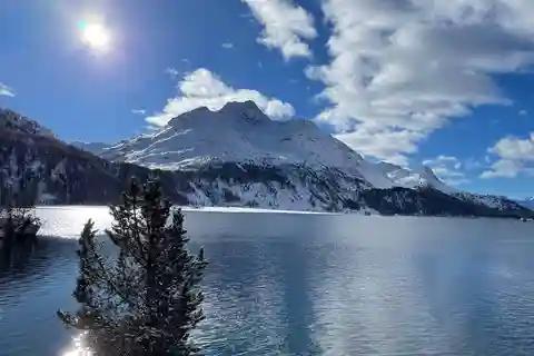 Depuis Zurich : Excursion privée d'une journée à St. Moritz