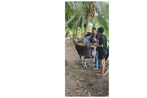 From HCMC-Mekong Delta Eco Tour: Non-Touristy & Small Group Pickup & Drop-off in District 1