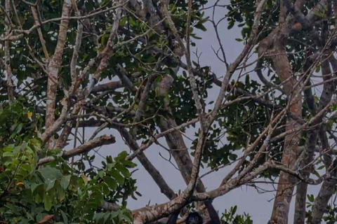 Visit the Ancestral Community: Embera Quera