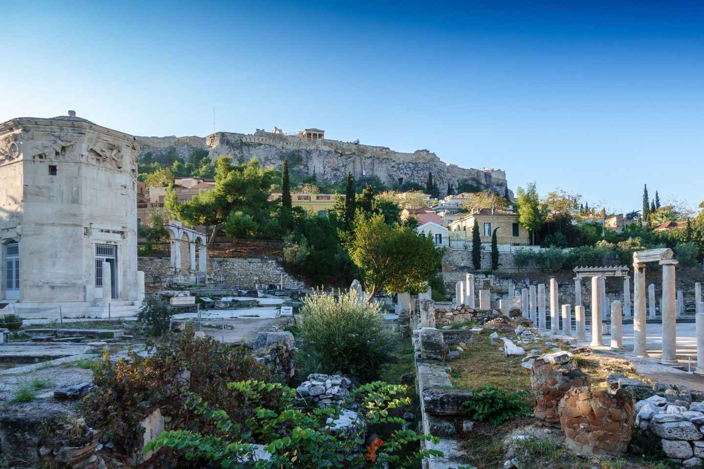 Athens Highlights: Acropolis, Museum and Plaka Tour - Athens Highlights: Acropolis, Museum, Plaka (No Tickets):ENG