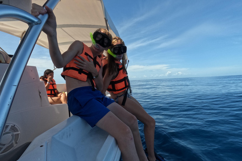 Nage avec les requins-baleines depuis Isla Mujeres et/ou Cancun