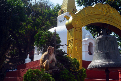 Les yeux de la sagesse de Katmandou : une exploration des stupas bouddhistes