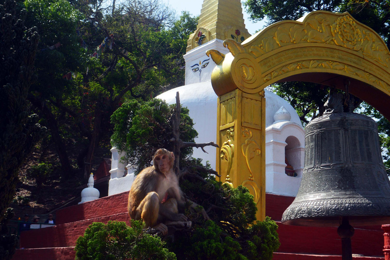 Les yeux de la sagesse de Katmandou : une exploration des stupas bouddhistes