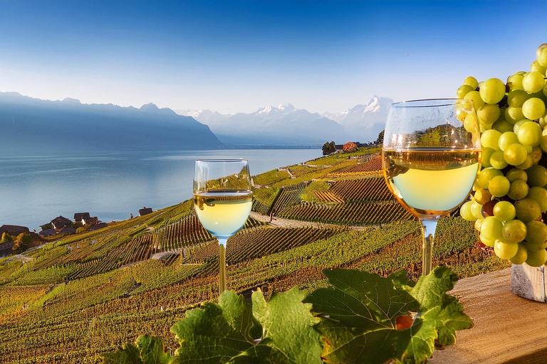 Private day trip: Geneva to Lavaux Vineyards, Nyon &amp; back