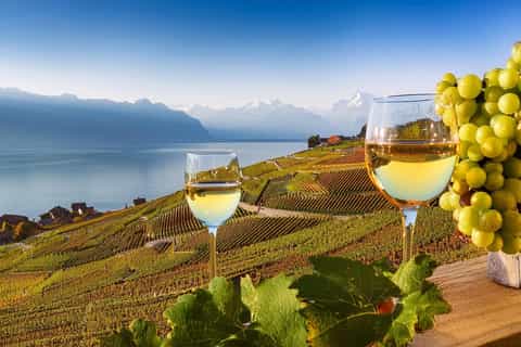 Montreux Swiss Wine Tour The BEST Geneva Wine Tasting Winery Tours
