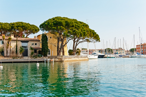 Desde Niza: Saint-Tropez y Port GrimaudTour privado