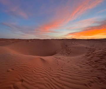 From Djerba: Saharan Safari - Berber Villages and Golden Dunes