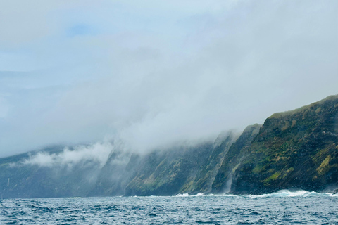 Isla de Faial: Tour en barco único al volcán Capelinhos