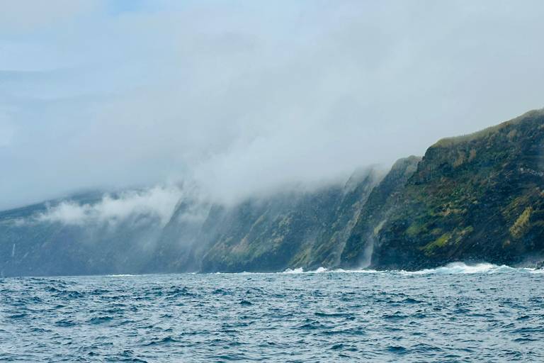 Ilha do Faial: Passeio de barco exclusivo até o vulcão dos CapelinhosIlha do Faial: Passeio de barco único ao vulcão dos Capelinhos