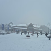 Melbourne: Mount Buller Private Snow Tour with Pickup