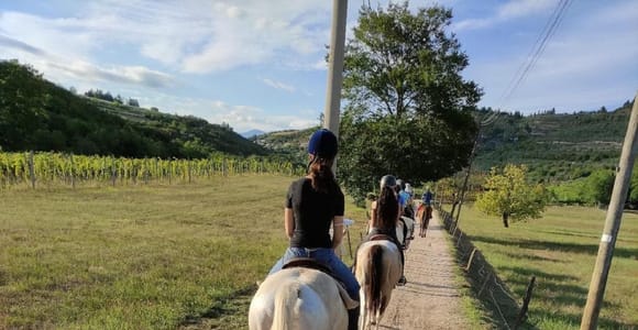 Horseback Riding with Amarone Wine Tasting in Verona