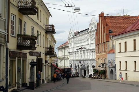 Kaunas: Vilnius and Trakai Island Castle Private Tour