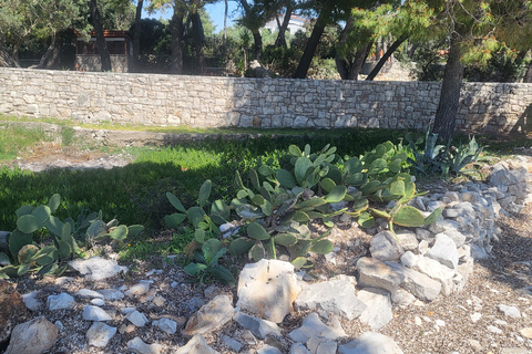 Blue lagoon with a speed boat water and towels included Blue lagoon with a speed boat, water & wine