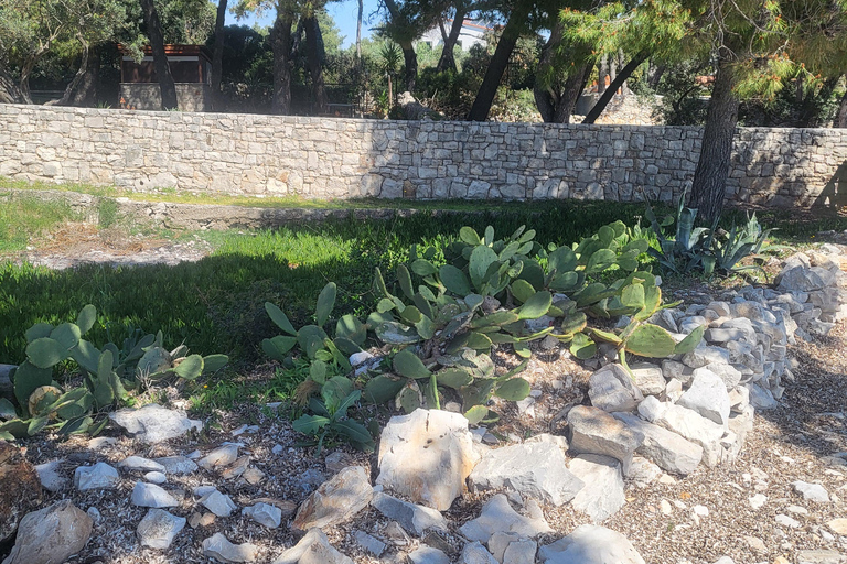 Blue lagoon with a speed boat water and towels included Blue lagoon with a speed boat, water & wine