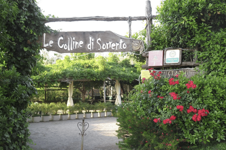 Sorrento: Rondleiding door de citroentuin met proeverijen