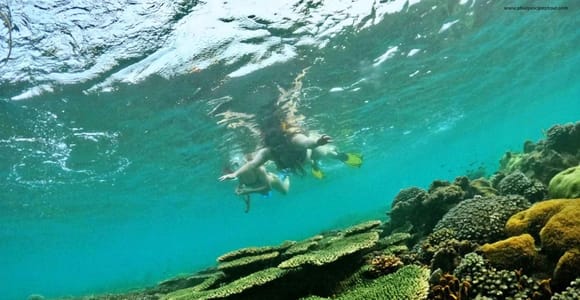 Half-day Snorkeling Adventure Local Tour In Phu Quoc Island