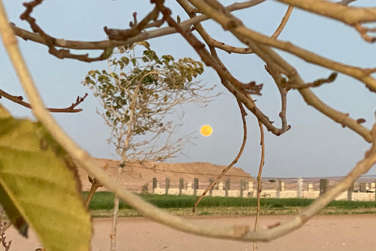 balade à dos de chameau avec coucher de soleil et observation des étoiles