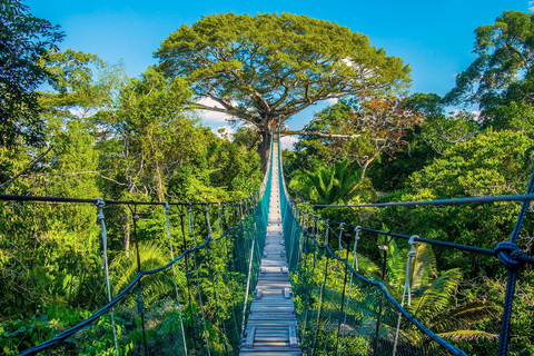 Aventura de 4 dias na Floresta Amazônica