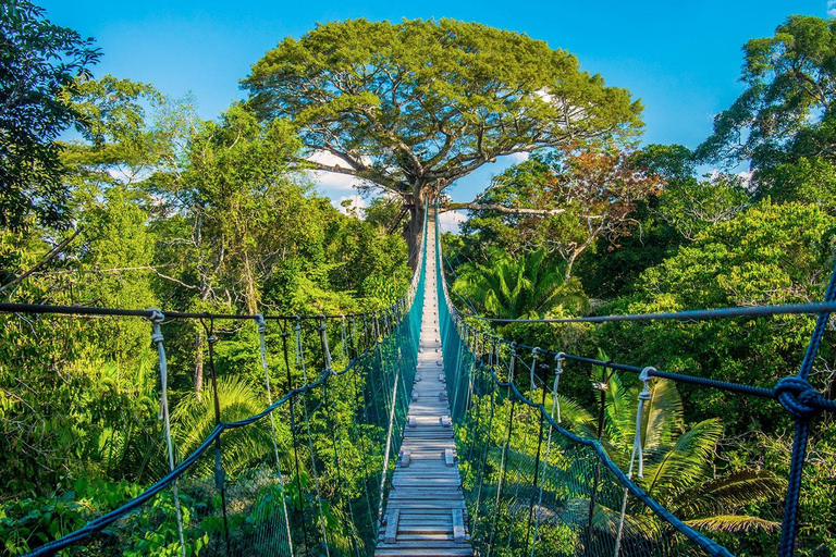 4-dagars äventyr i Amazonas regnskog