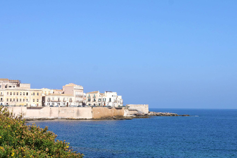 De Catane: visite culturelle et historique de Syracuse et Noto