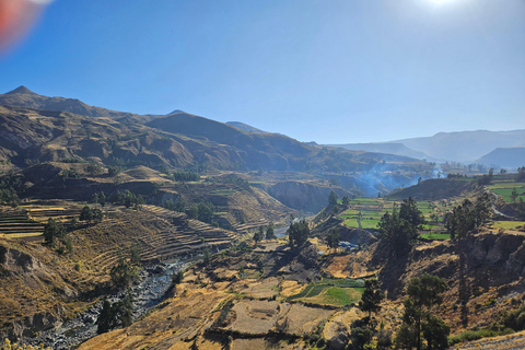 From Puno: Colca Canyon Expedition, Ending in Arequipa