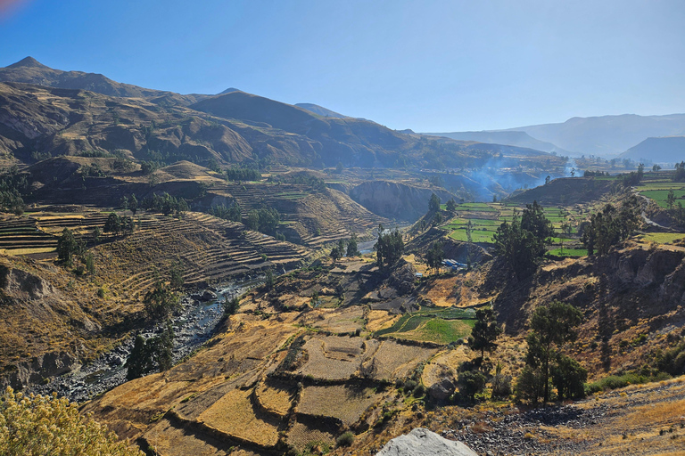 From Puno: Colca Canyon Expedition, Ending in Arequipa