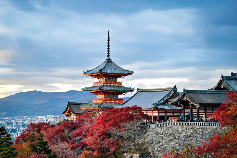 Kyoto: Private Highlight Day Tour with Guide and Vehicle