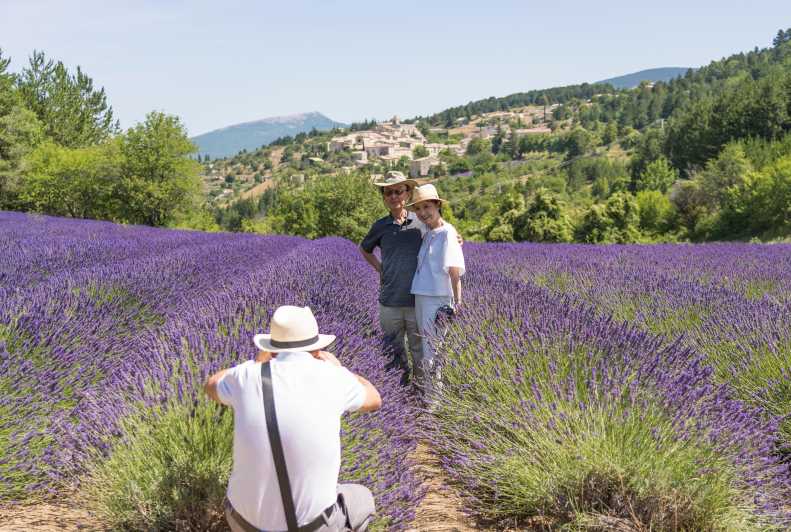 Au départ d'Aix-en-Provence : Excursion à Sault Lavande et Gordes