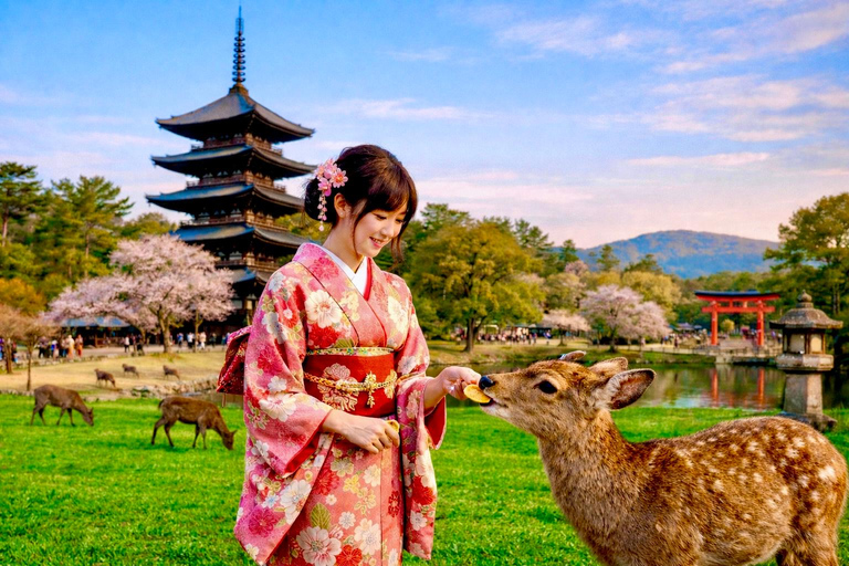 Nara Hidden Gems: Deer, Tsubosaka-dera, Kasuga & Naramachi