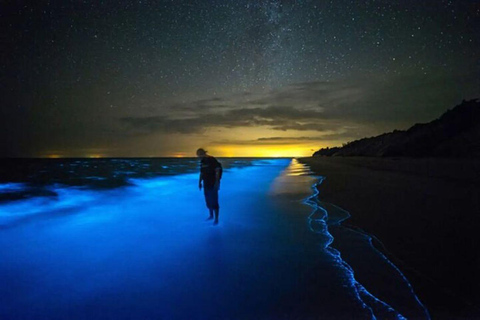 Grand Cayman: Bioluminescent Bay Boat Tour with Snorkeling