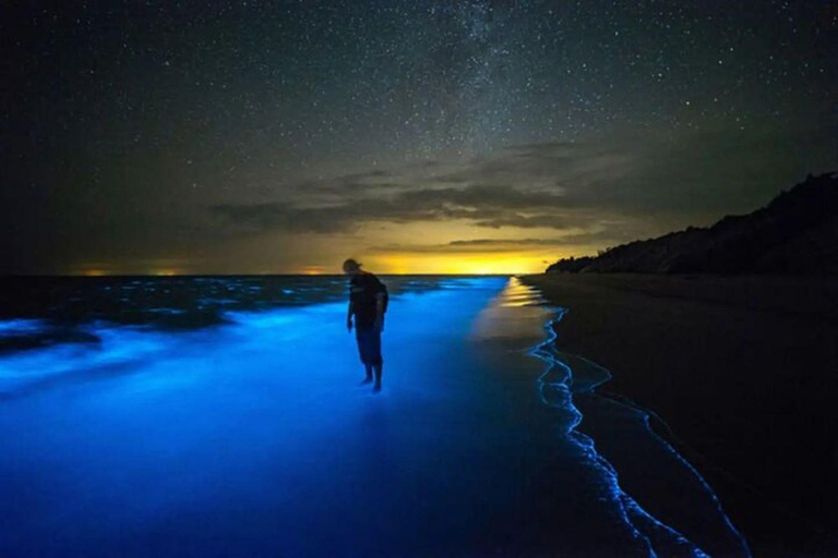 Grand Cayman: Bioluminescent Bay Boat Tour with Snorkeling