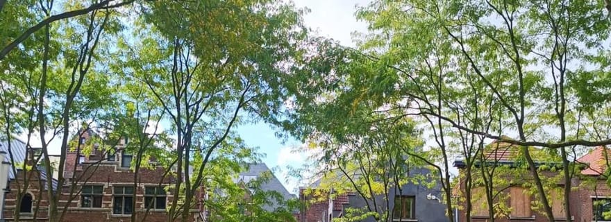 Visite de Louvain à vélo : les temps forts et au-delà + café + conservation du vélo