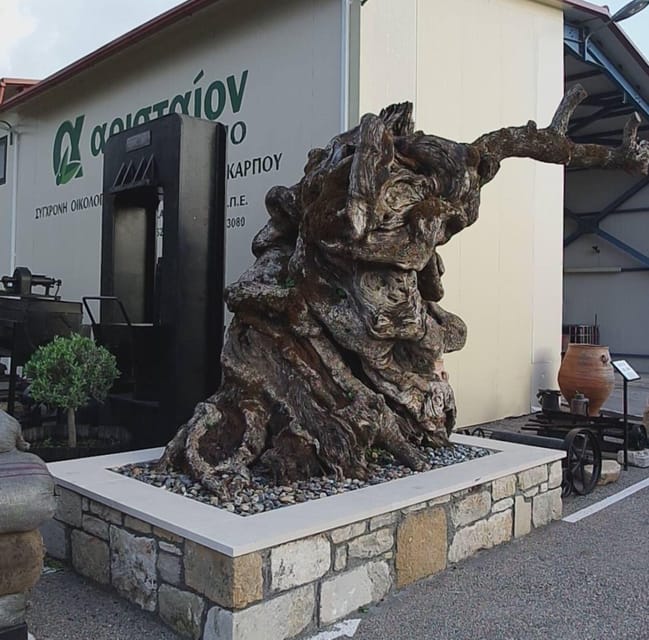 Zante Small Group Tour Bohali Views, Wine & Oil Tasting GetYourGuide