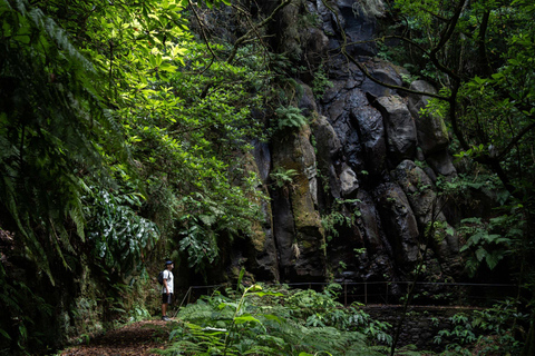 Madeira: Levada do Caldeirão Verde Hike with Local Pickup