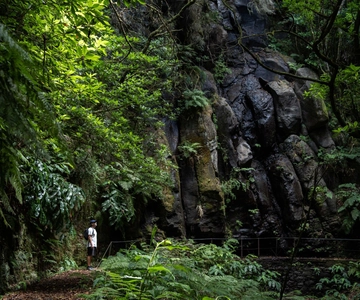 Madeira: PR 9 - Levada do Caldeirão Verde Hike Transfer
