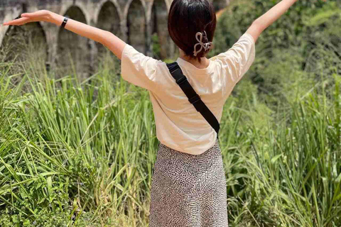 Beyond the Rails: Curated Scenic Journey from Kandy to Ella