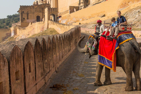 06-dniowa wycieczka po Złotym Trójkącie z Ranthambore Safari