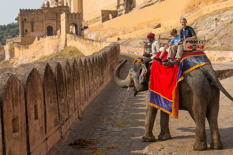 06-dniowa wycieczka po Złotym Trójkącie z Ranthambore Safari