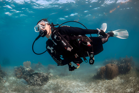 Mellieha: Sessione introduttiva di immersione in mare apertoCome preferisci (ci vediamo alla nostra base alle 14:00)