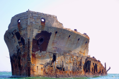SS Selma Concreate Shipwreck | Historical WWI Landmark