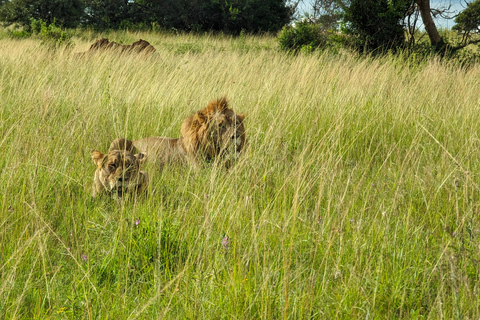 Eine dreitägige Akagera Wildsafari