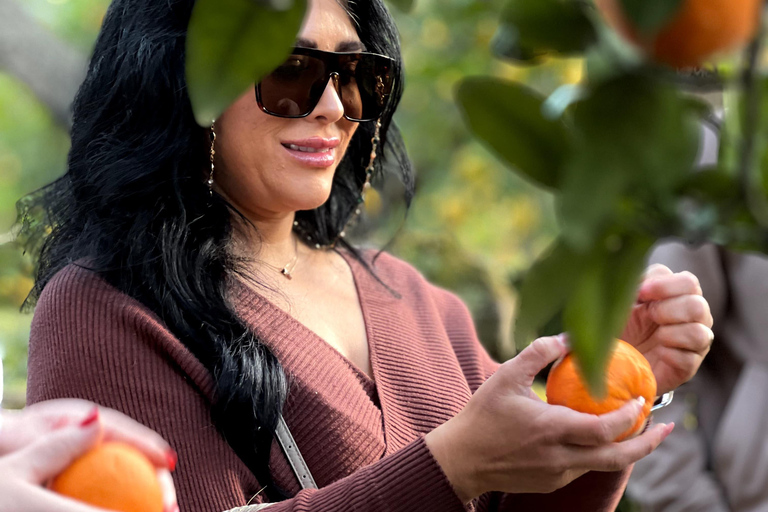 Sorrento: Lemon Picking & Tasting Tour Lemon Picking Experience at Giovanni's Farm