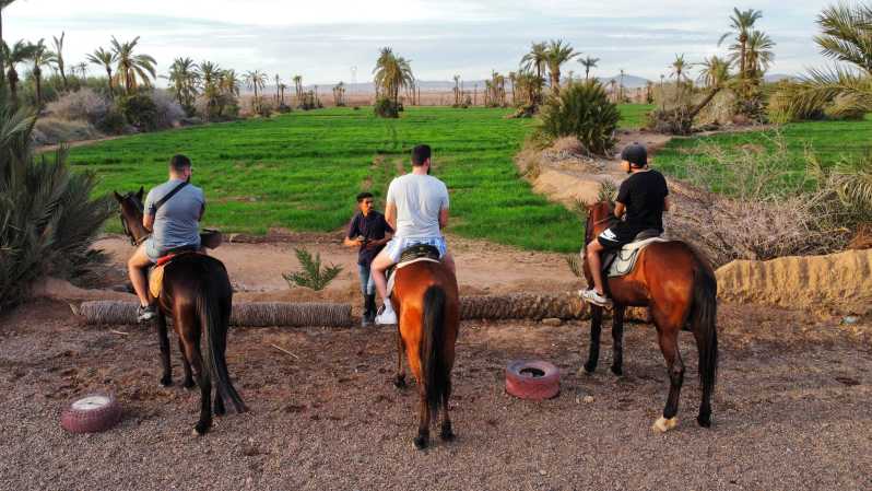 Marrakech: Private Horseback Tour in the Palm Grove with Tea