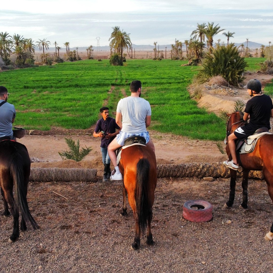 Marrakech : Visite privée à cheval dans la palmeraie avec thé