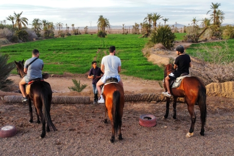 Marrakech: Private horseback ride in the palm grove with tea