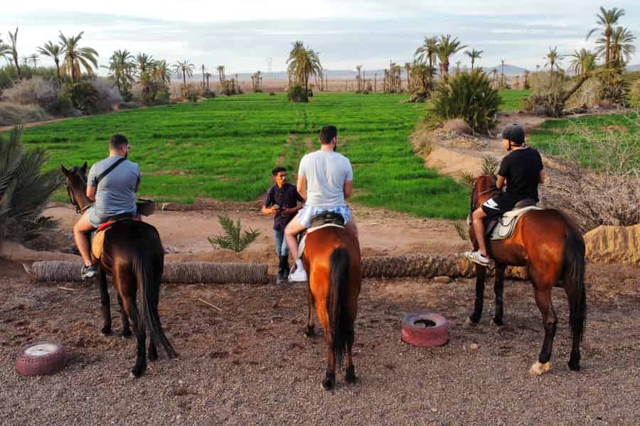 Marrakech: Private Tour auf dem Pferderücken durch den Palmenhain mit Tee. Foto: GetYourGuide