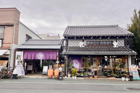 Tokyo: Calm and Cultural Stroll Through Historic Areas