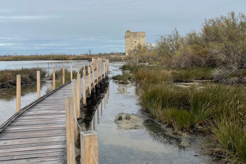 Visita los tesoros de la Camarga