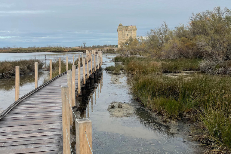 Von Montpellier aus: Camargue und Salzwiesen Geführte Tour