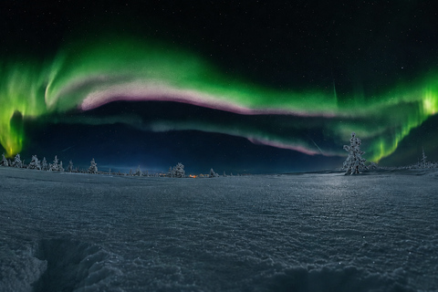 Northern Lights Hunt – Small Mixed Group from Kemi